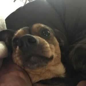 Meet your Posher, Joanna